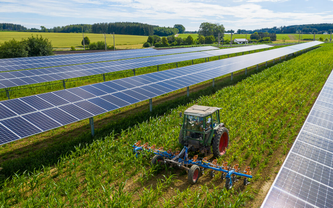 Agri PV