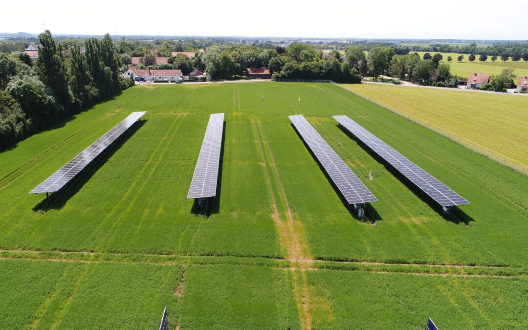 Agri-Photovoltaikanlage in Grub